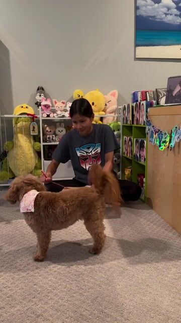 Customer unboxing video